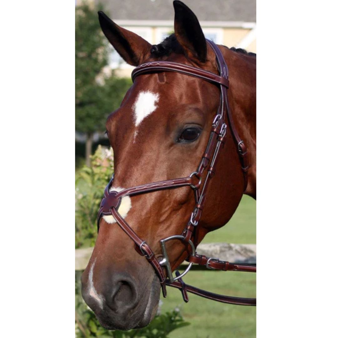 Nunn Finer Milano Figure Eight Bridle | Malvern Saddlery