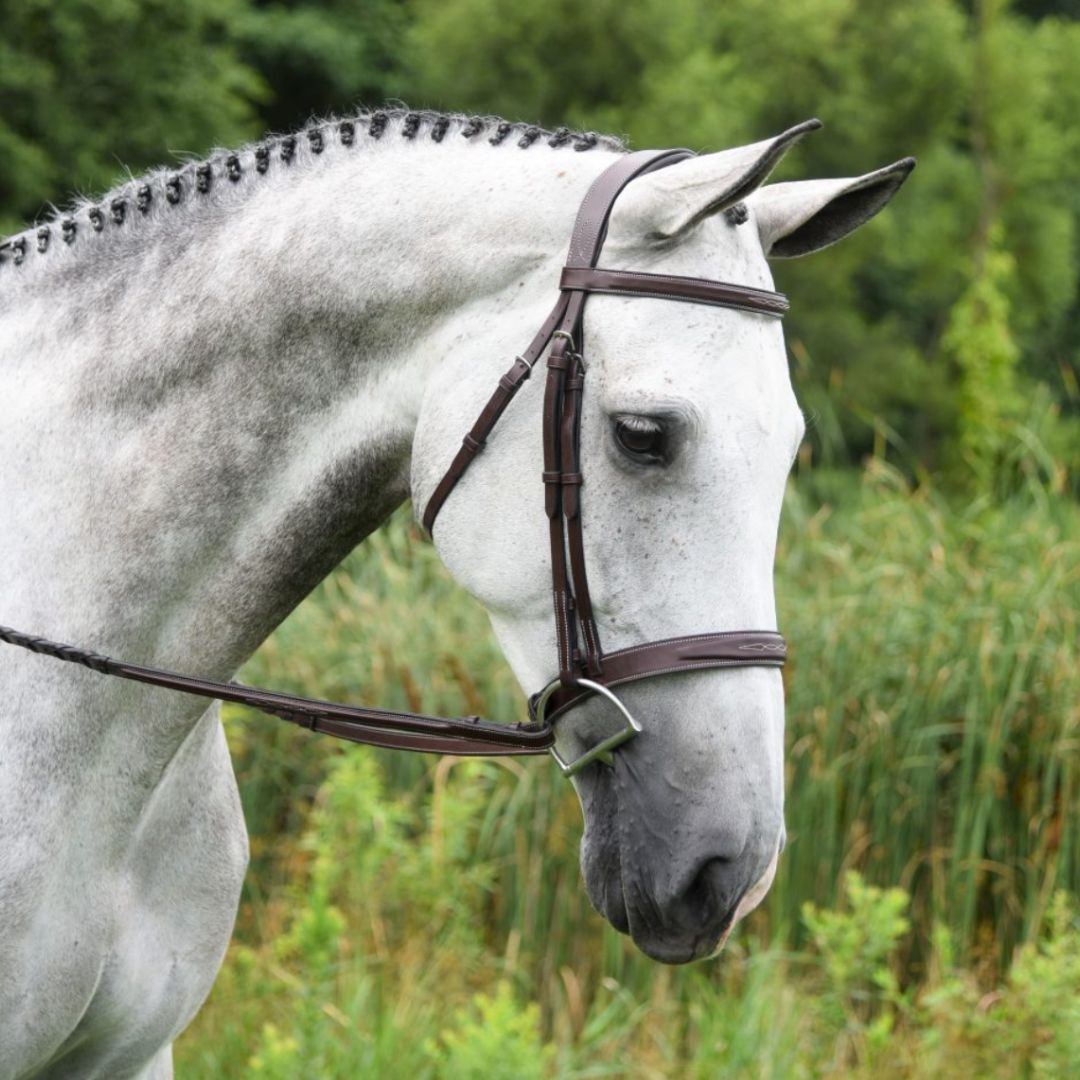 KL Red Barn Indio Hunter Bridle | Malvern Saddlery