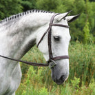 KL Red Barn Indio Hunter Bridle | Malvern Saddlery