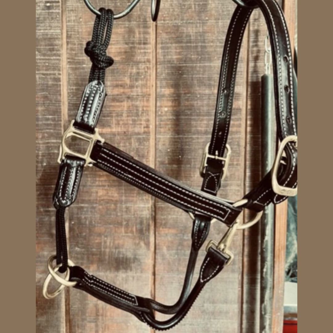 Walsh Rope Nose British Halter | Malvern Saddlery