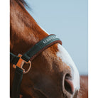 Schockemöhle Memphis Style III Breakaway Halter in Bottle logo noseband close up