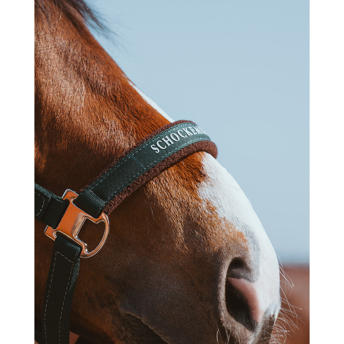 Schockemöhle Memphis Style III Breakaway Halter in Bottle logo noseband close up