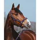Schockemöhle Memphis Style III Breakaway Halter in Dark Purple on a horse