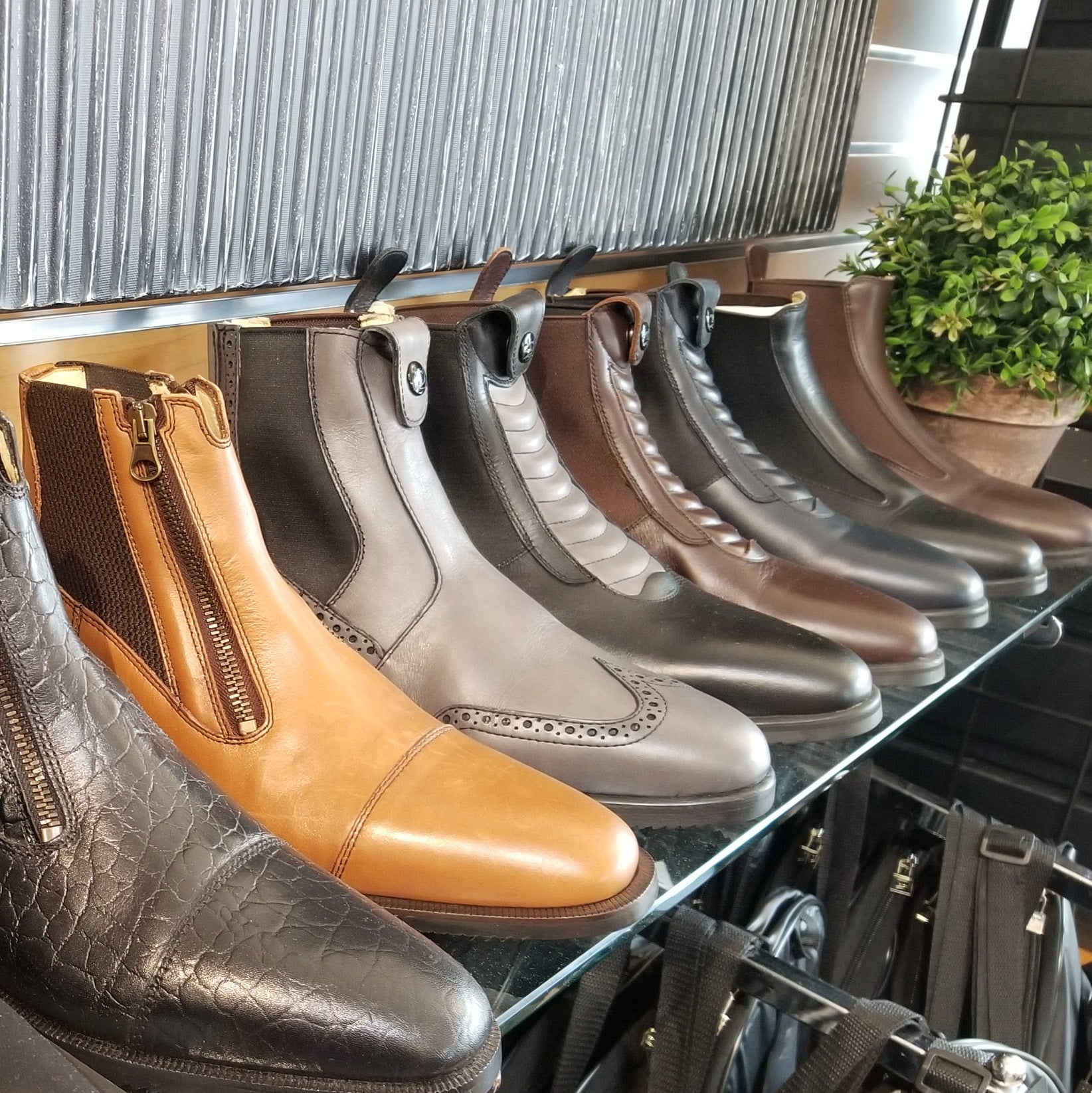 Tucci Paddock boots in custom styles; lined up in-store; Malvern, Pennsylvania | Malvern Saddlery