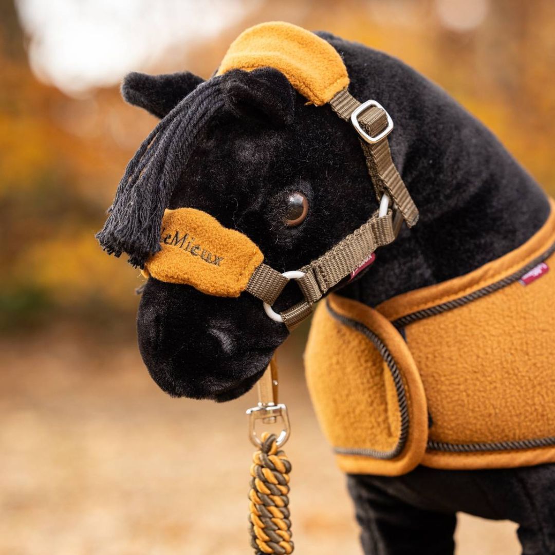 LeMieux Toy Pony Headcollar Halter - Alpine, shown on Skye | Malvern Saddlery