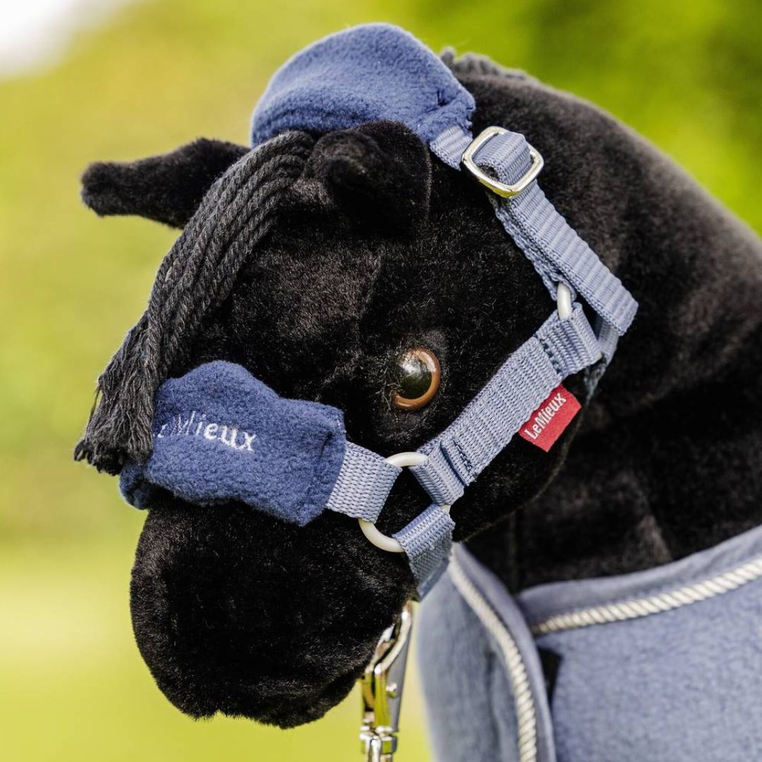 LeMieux Toy Pony Headcollar Halter - Jay Blue, shown on Skye | Malvern Saddlery