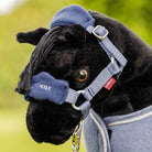 LeMieux Toy Pony Headcollar Halter - Jay Blue, shown on Skye | Malvern Saddlery