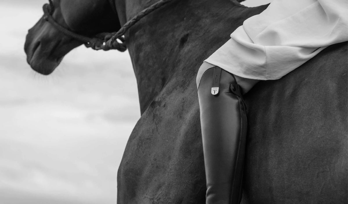 Franco Tucci tall boot - homepage banner (desktop)