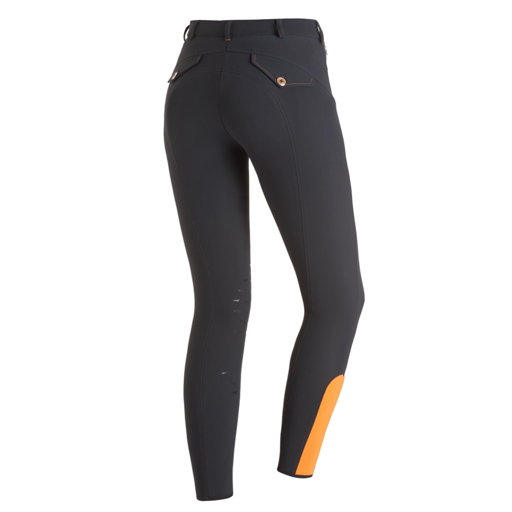 Shop Schockemohle Eleonore Breech - Gray, back view  | Malvern Saddlery