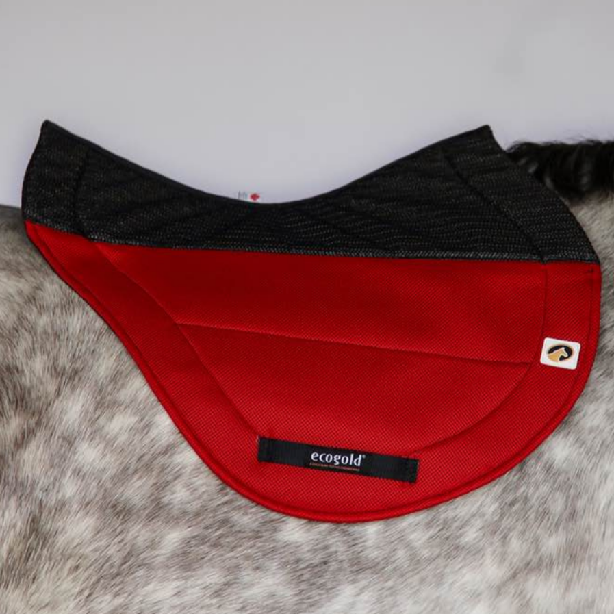 Ecogold Secure XC Saddle Pad - Red | Malvern Saddlery