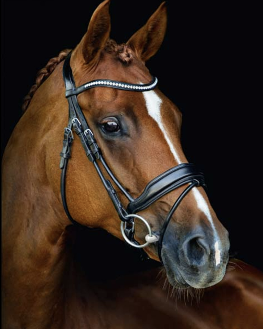 Schockemöhle Sports Malibu Anatomic Bridle | Malvern Saddlery