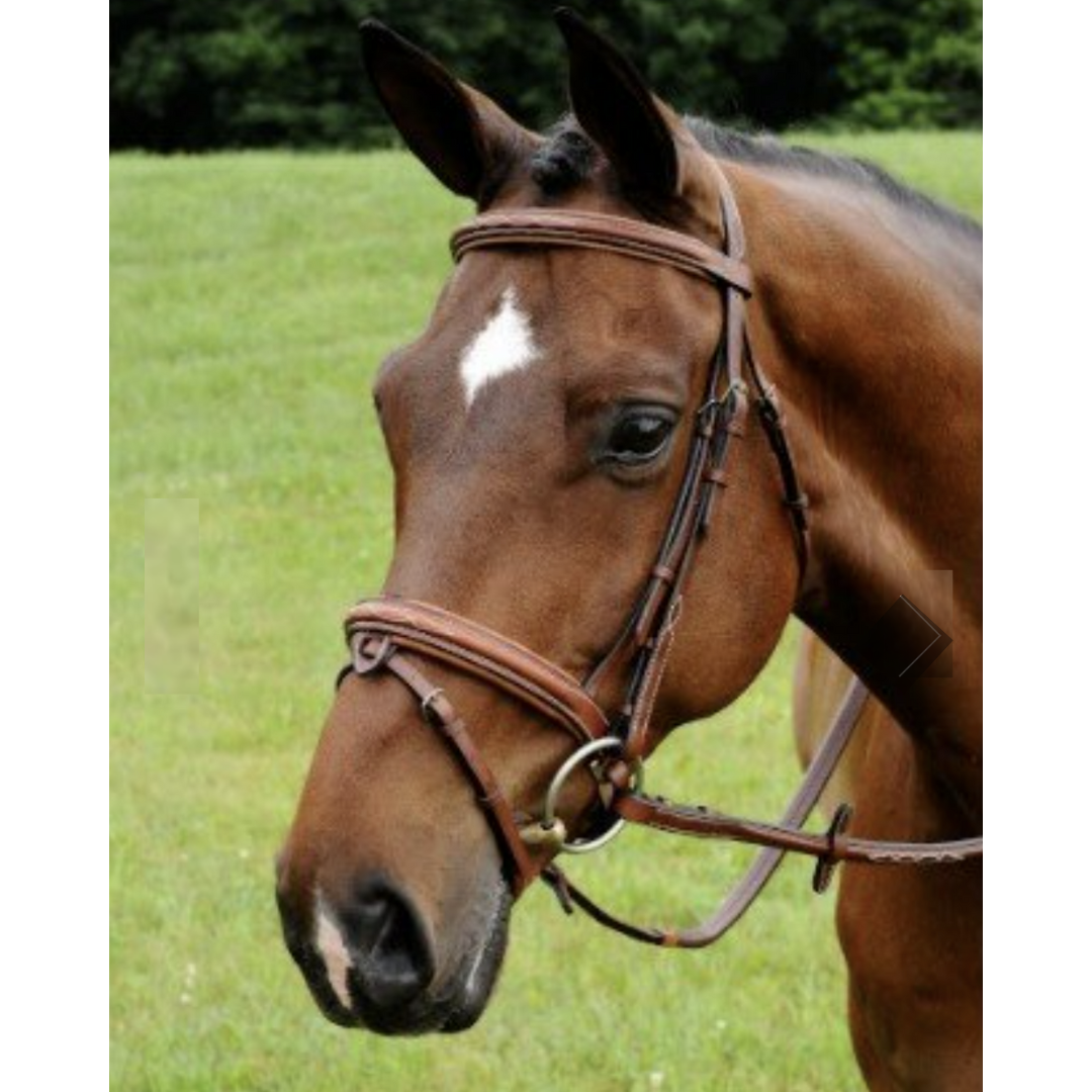 ADT Starman Bridle Crank Noseband with Rubber Reins | Malvern Saddlery