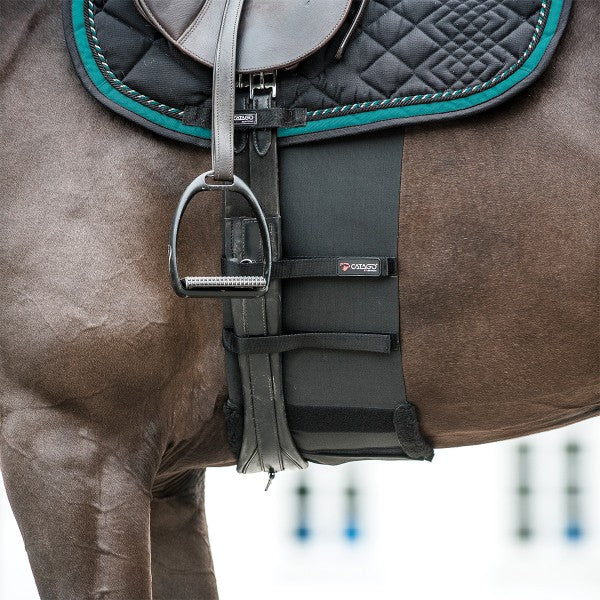 Catago Belly Band | Malvern Saddlery