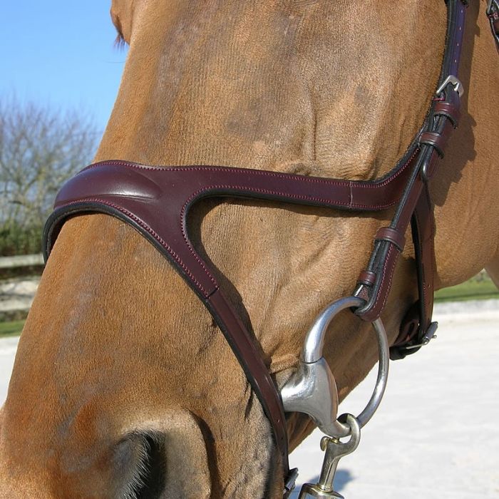 Dy'on X Fit Anatomic Bridle | Malvern Saddlery