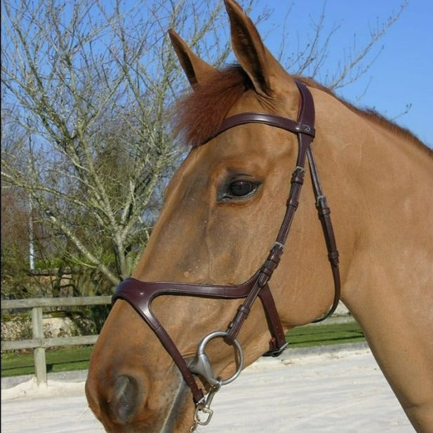 Dy'on X Fit Anatomic Bridle | Malvern Saddlery