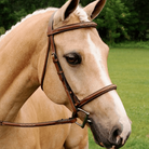 Shop Arc de Triomphe Imperial Show Bridle | Malvern Saddlery