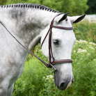 KL Middleburg Hunter Bridle | Malvern Saddlery