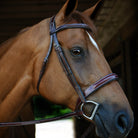 KL Tuscany Hunter Bridle | Malvern Saddlery