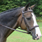 KL Select Wellington Hunter Bridle & Reins Set - Shown on horse | Malvern Saddlery