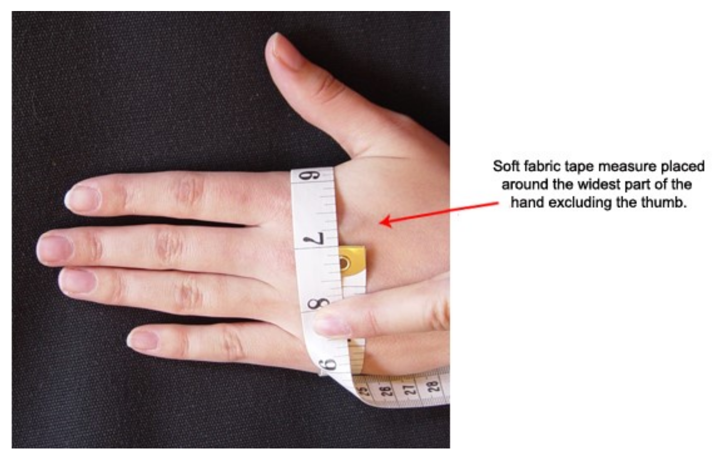 Kunkle Glove sizing detail | Malvern Saddlery