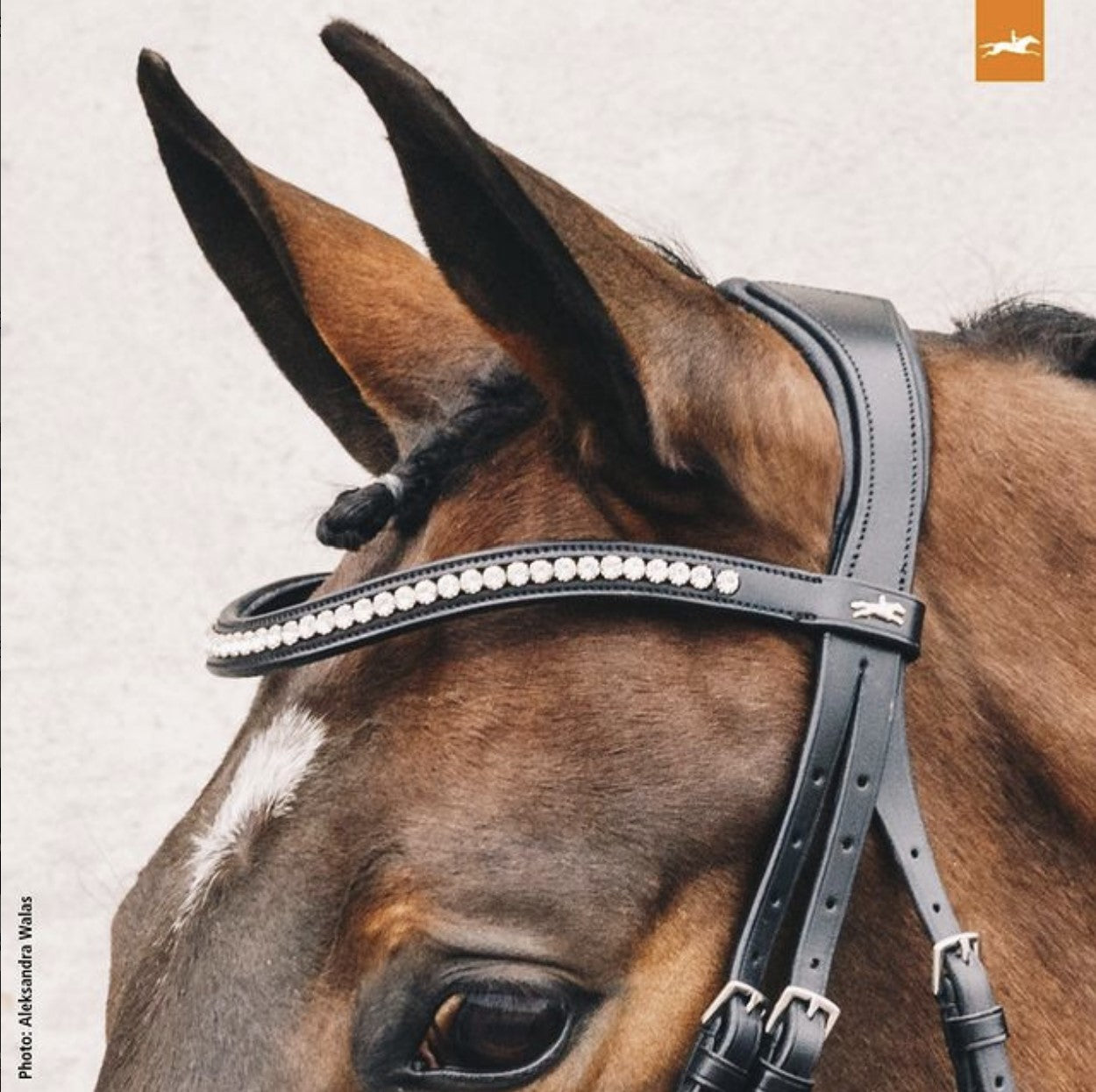 Schockemöhle Sports Malibu Anatomic Bridle | Malvern Saddlery