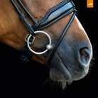 Shop Schockemohle Malibu Dressage Bridle | Malvern Saddlery