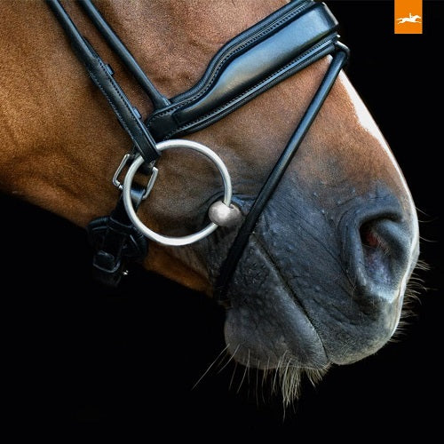 Shop Schockemohle Malibu Dressage Bridle | Malvern Saddlery