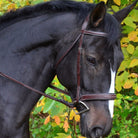 Shop KL Tyron Hunter Bridle - Malvern Saddlery