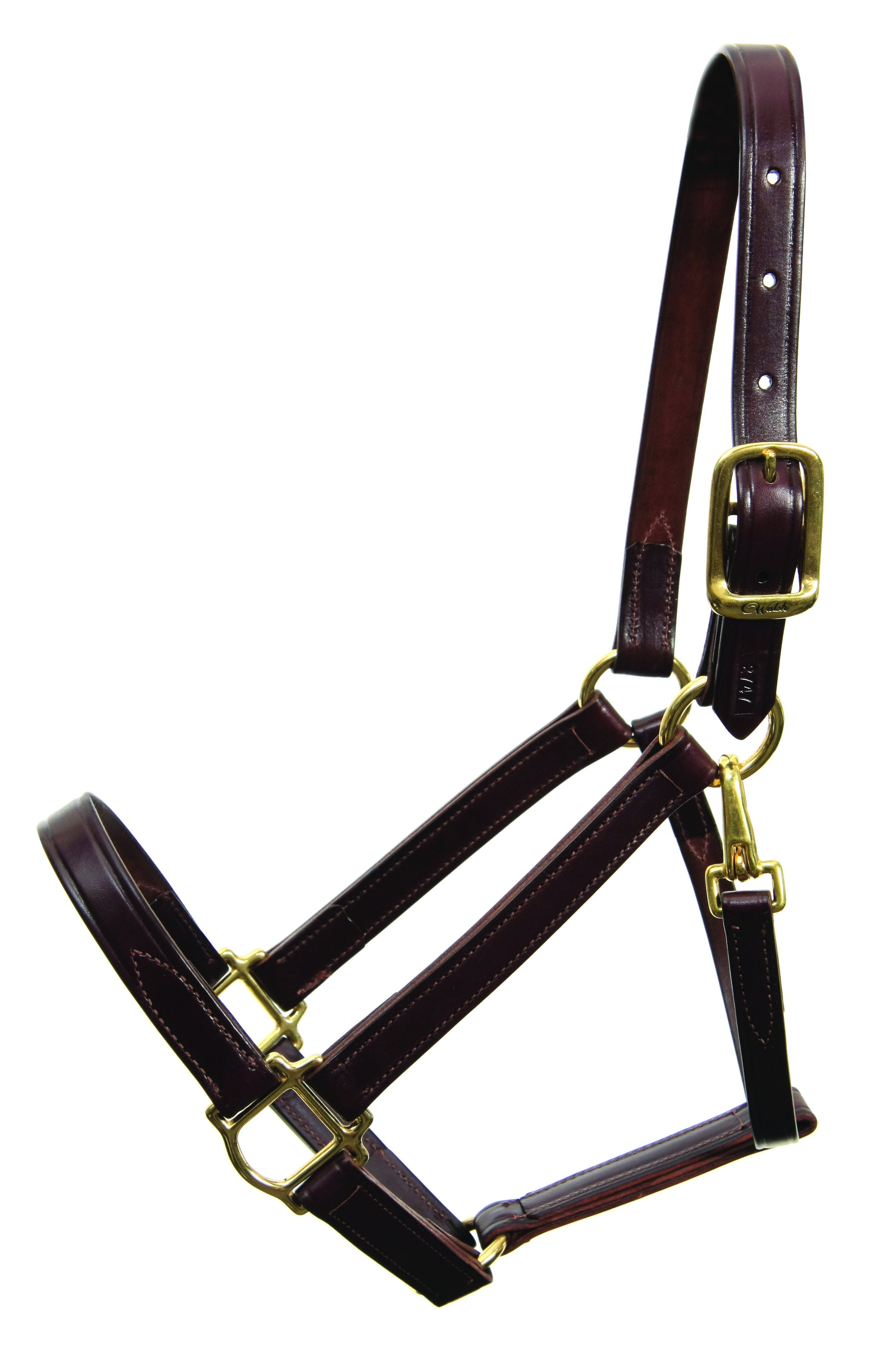 Shop Walsh Heritage Halter - Malvern Saddlery