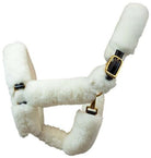 Shop Shipping Halter - Malvern Saddlery