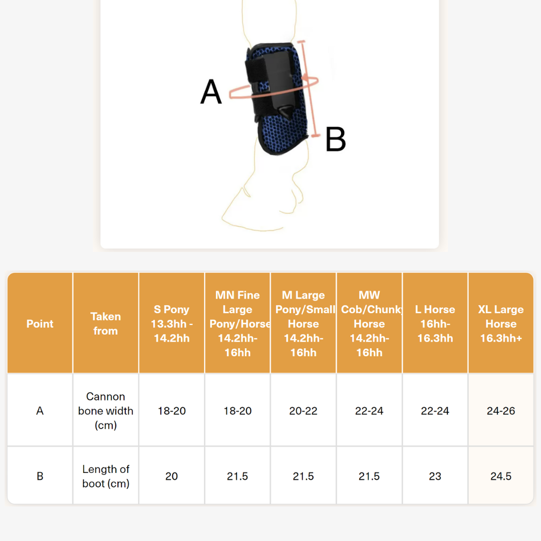 Equilibrium Boot Size Chart | Malvern Saddlery