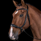 Schockemöhle Equitus Theta Bridle - Black | Malvern Saddlery