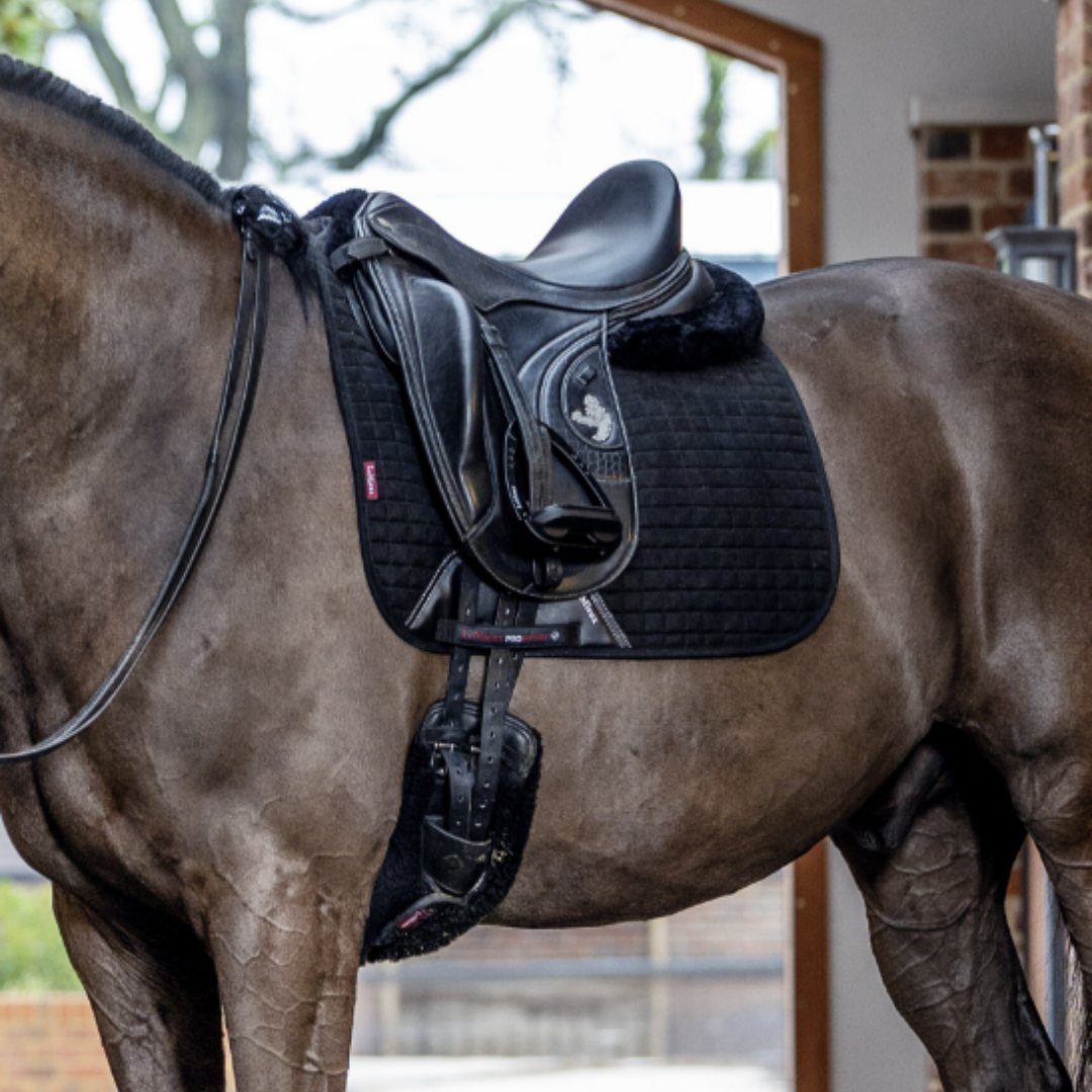 LeMieux Suede Dressage Saddle Pad - Black | Malvern Saddlery