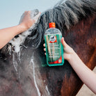 Leovet Tea Tree Body Wash | Malvern Saddlery